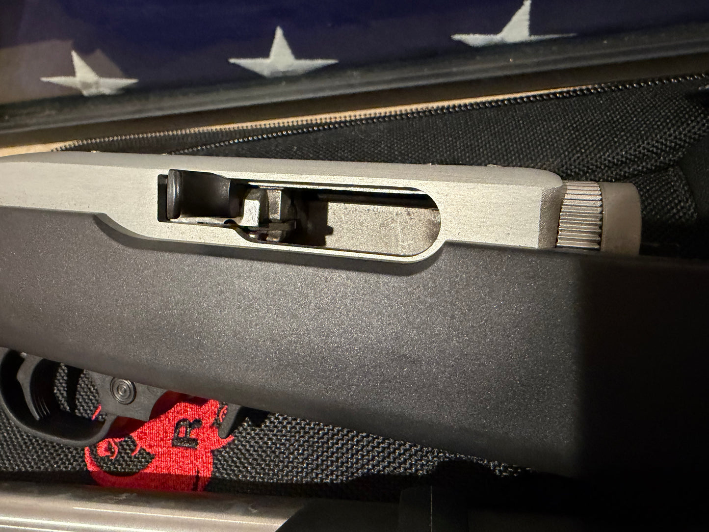 Ruger 10/22 Takedown